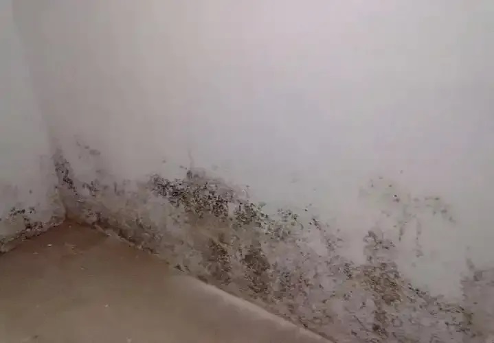 防水≠防滲！80%的人都弄錯(cuò)了！