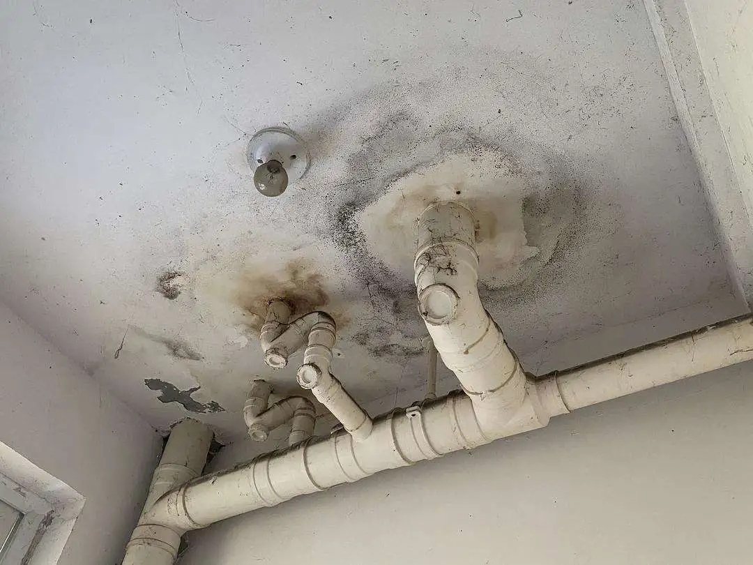 防水做了等于白做？青龍防水教你避開施工8大坑，讓工程不再漏水！